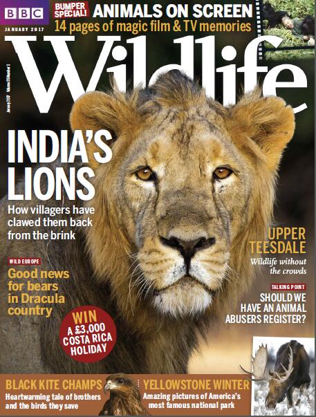 BBC Wildlife（BBC野生动物） 2017年1月