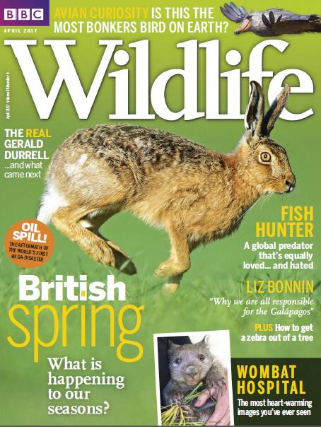 BBC Wildlife（BBC野生动物） 2017年4月
