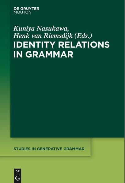 Identity Relations in Grammar (Studies in Generative Grammar [Sgg])
