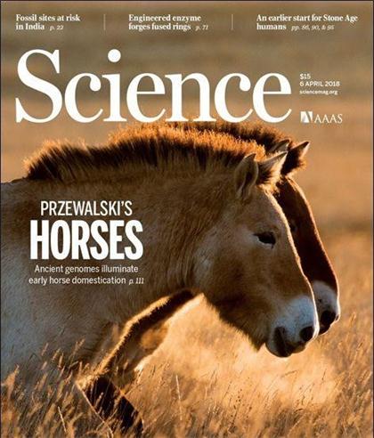 科学（Science）2018年4月6日刊