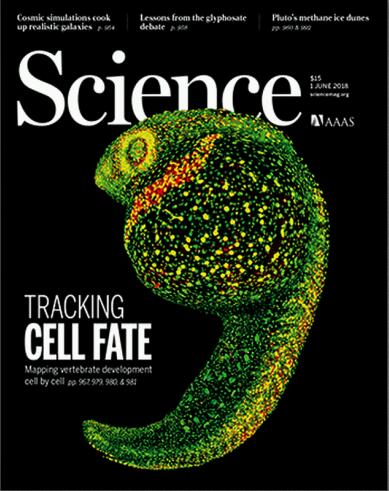 科学（Science）2018年6月1日