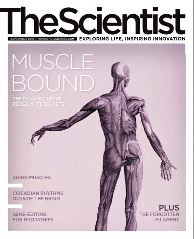 科学家（The Scientist）2018年9月