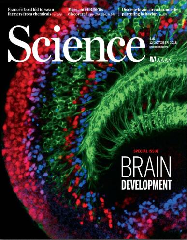 科学（Science）2018年10月12日