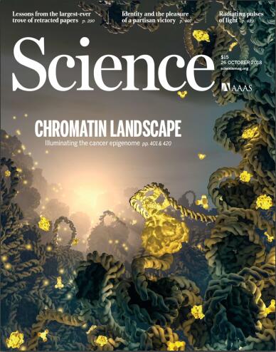 科学（Science）2018年10月26日