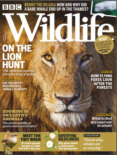 BBC野生动物（BBC Wildlife）2019年1月