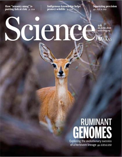 科学（Science）2019年6月21日