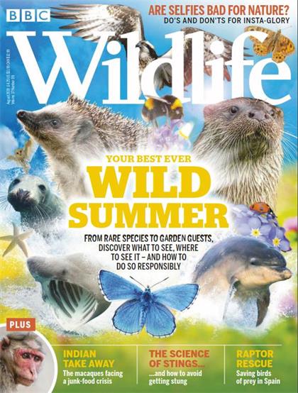 BBC野生动物（BBC Wildlife）2019年8月