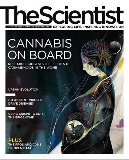 科学家（The Scientist）2019年1月