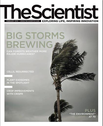 科学家（The Scientist）2019年2月