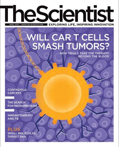 科学家（The Scientist）2019年4月