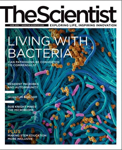 科学家（The Scientist）2019年6月