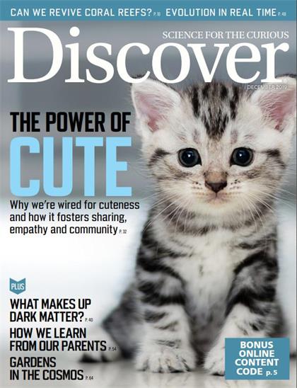 发现（Discover）2019年12月