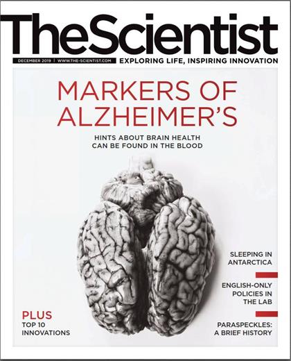 科学家（The Scientist）2019年12月