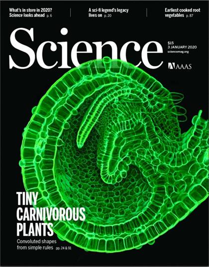 科学（Science）2020年1月3日