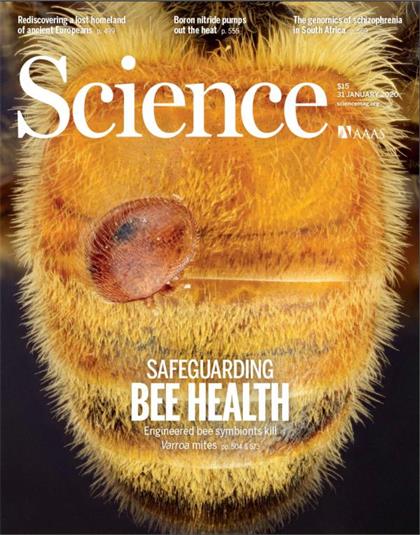 科学（Science）2020年1月31日