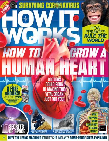 万物（How It Works）第138期
