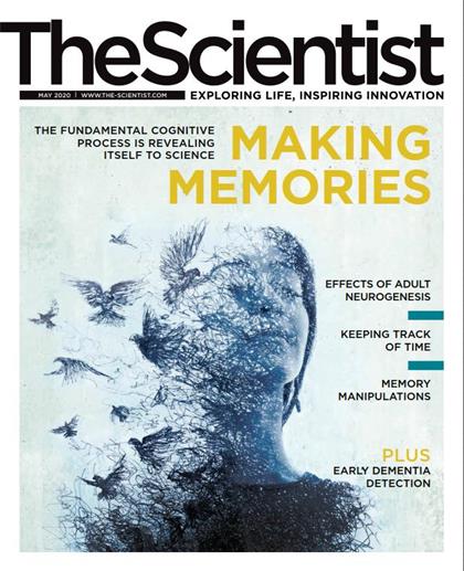 科学家（The Scientist）2020年5月
