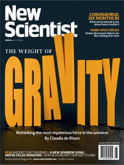 新科学家（New Scientist）2020年7月11日