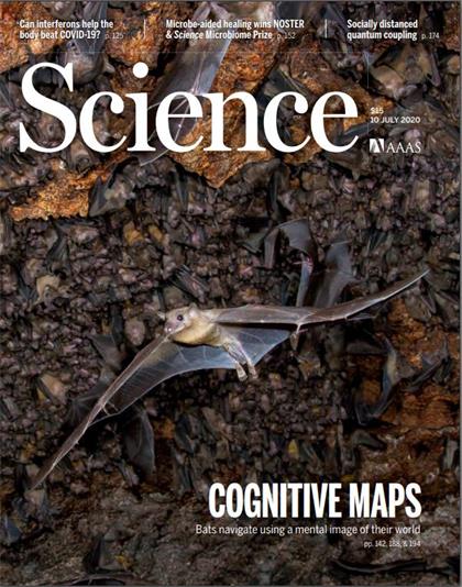 科学（Science）2020年7月10日