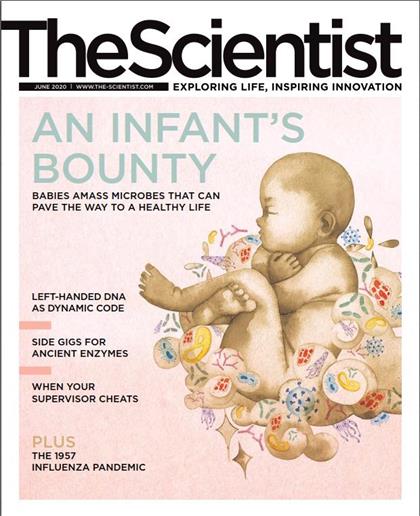 科学家（The Scientist）2020年6月