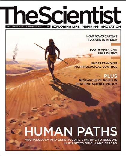 科学家（The Scientist）2020年9月