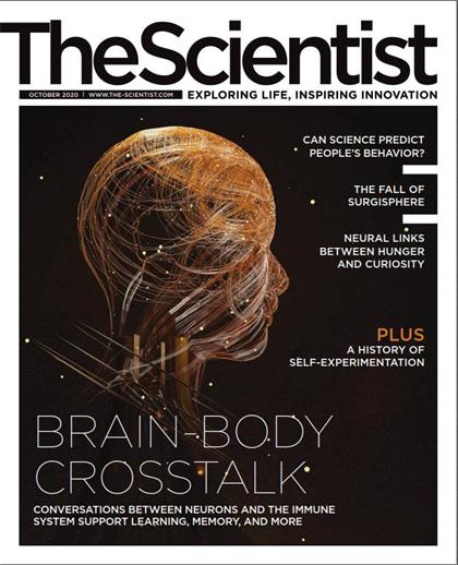 科学家（The Scientist）2020年10月