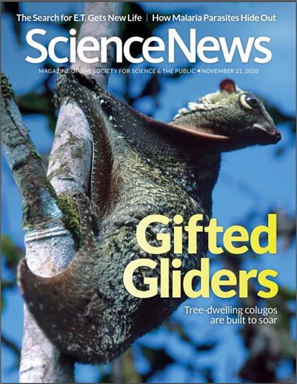 科学新闻（ScienceNews）2020年11月21日