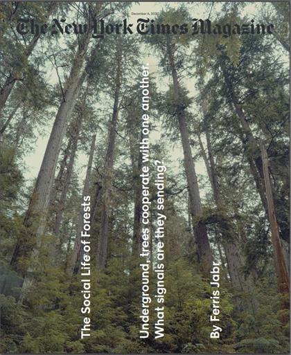 纽约时报杂志（The New York Times Magazine）2020年12月6日