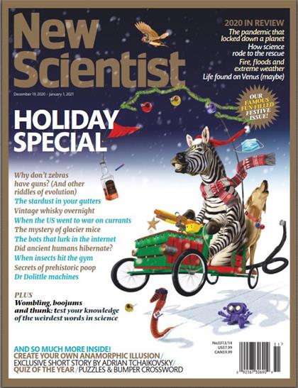 新科学家（New Scientist）2020年12月19日