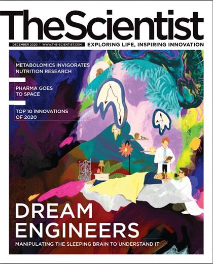 科学家（The Scientist）2020年12月