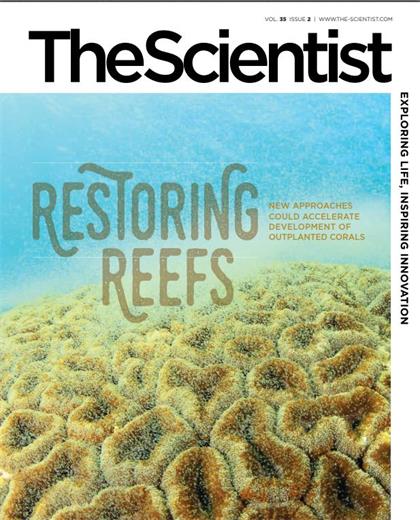 科学家（The Scientist）2021年2月