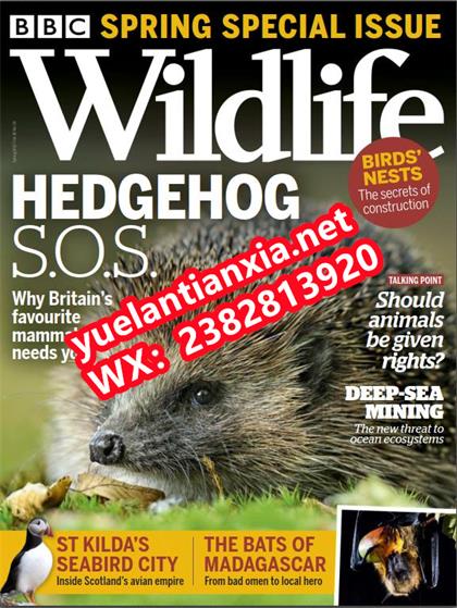 BBC野生动物（BBC Wildlife）春季刊