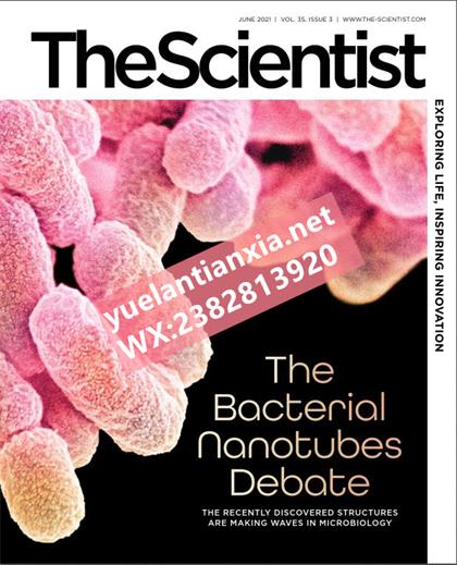 科学家（The Scientist）2021年6月