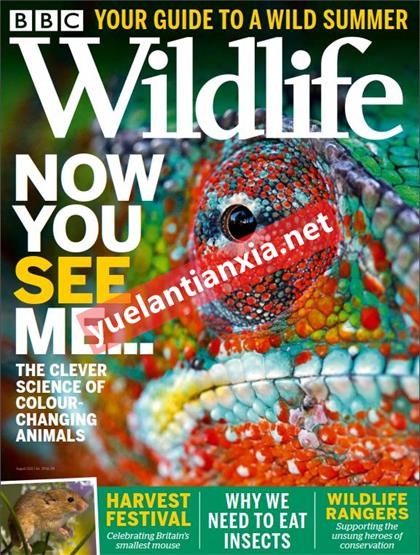 BBC野生动物（BBC Wildlife）2021年8月