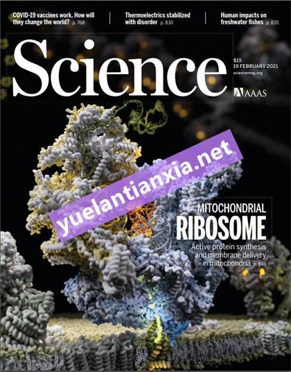 科学（Science）2021年2月19日