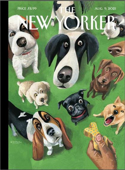纽约客（The New Yorker）2021年8月9日