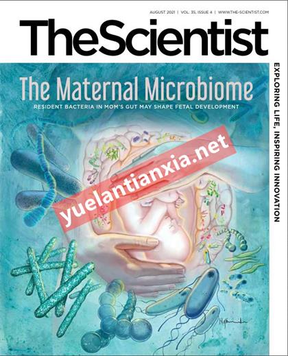 科学家（The Scientist）2021年8月