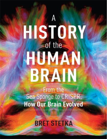 A History of the Human Brain：From the Sea Sponge to CRISPR, How Our Brain Evolved