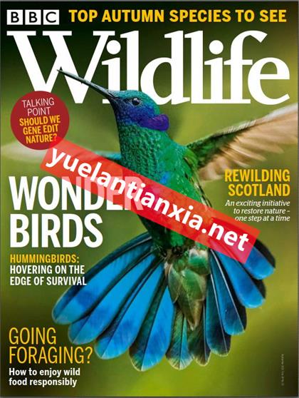 BBC野生动物（BBC Wildlife）2021年9月