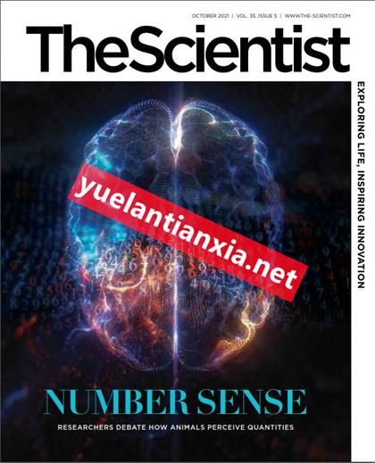 科学家（The Scientist）2021年10月