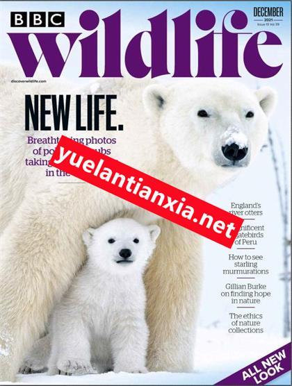 BBC野生动物（BBC Wildlife）2021年12月