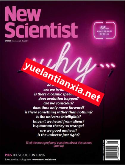 新科学家（New Scientist）2021年11月20日