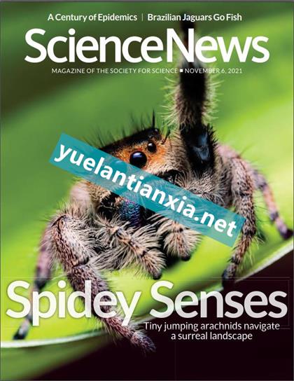 科学新闻（ScienceNews）2021年11月6日