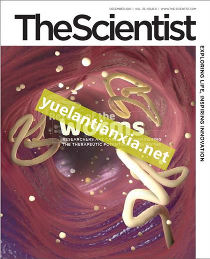 科学家（The Scientist）2021年12月