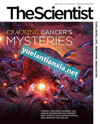 科学家（The Scientist）2022年春季刊