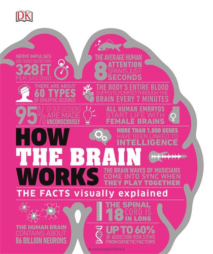 How the Brain Works The Facts Visually Explained (How Things Work)