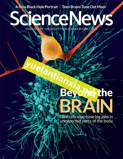 科学新闻（ScienceNews）2022年6月4日