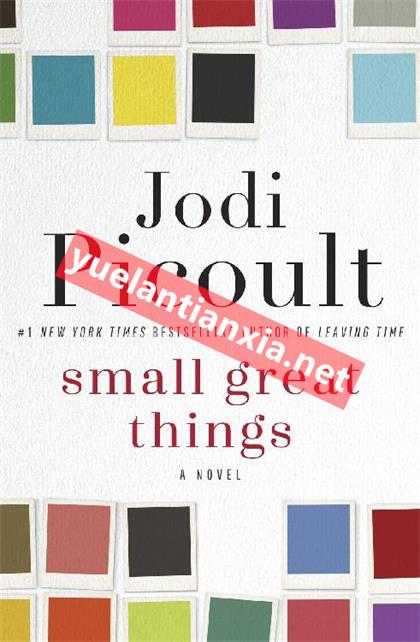 Small Great Things《小而伟大的事》