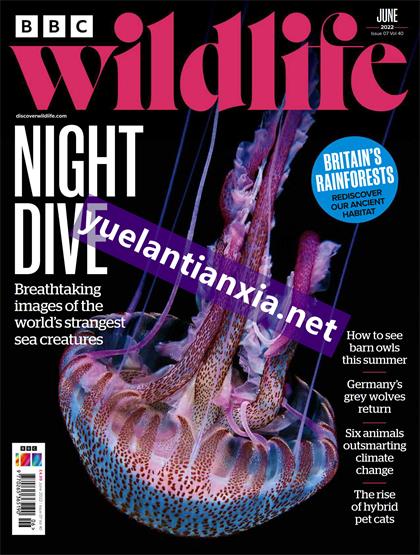BBC野生动物（BBC Wildlife）2022年6月