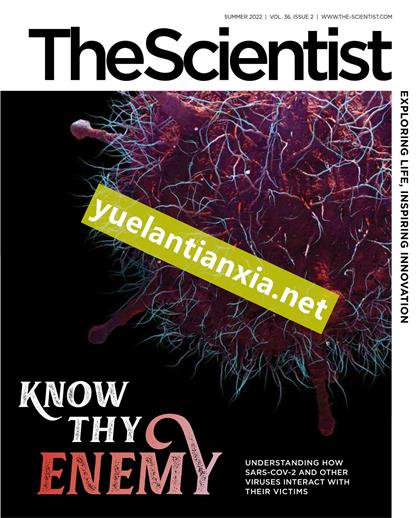科学家（The Scientist）2022年夏季刊